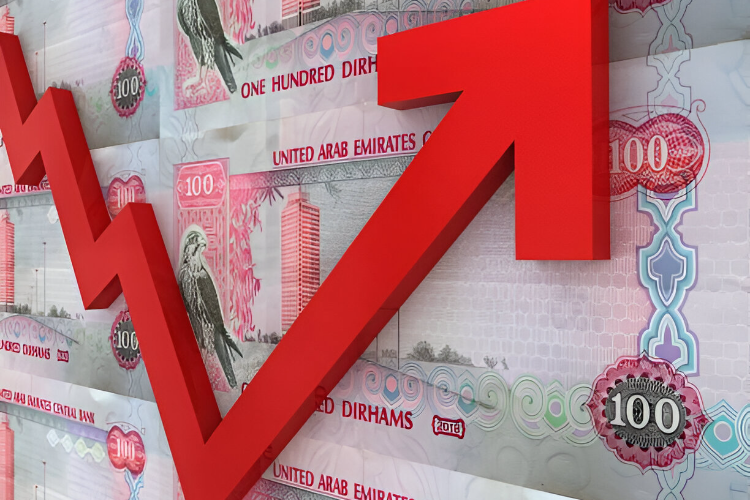  Diversification of Investment Portfolio